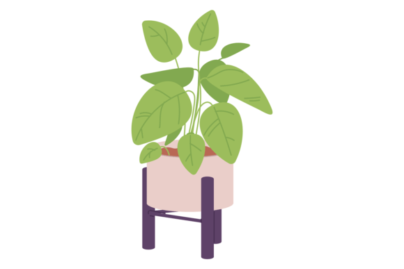 Bringing the Outdoors In: The Decorative Appeal of Houseplant Icon
